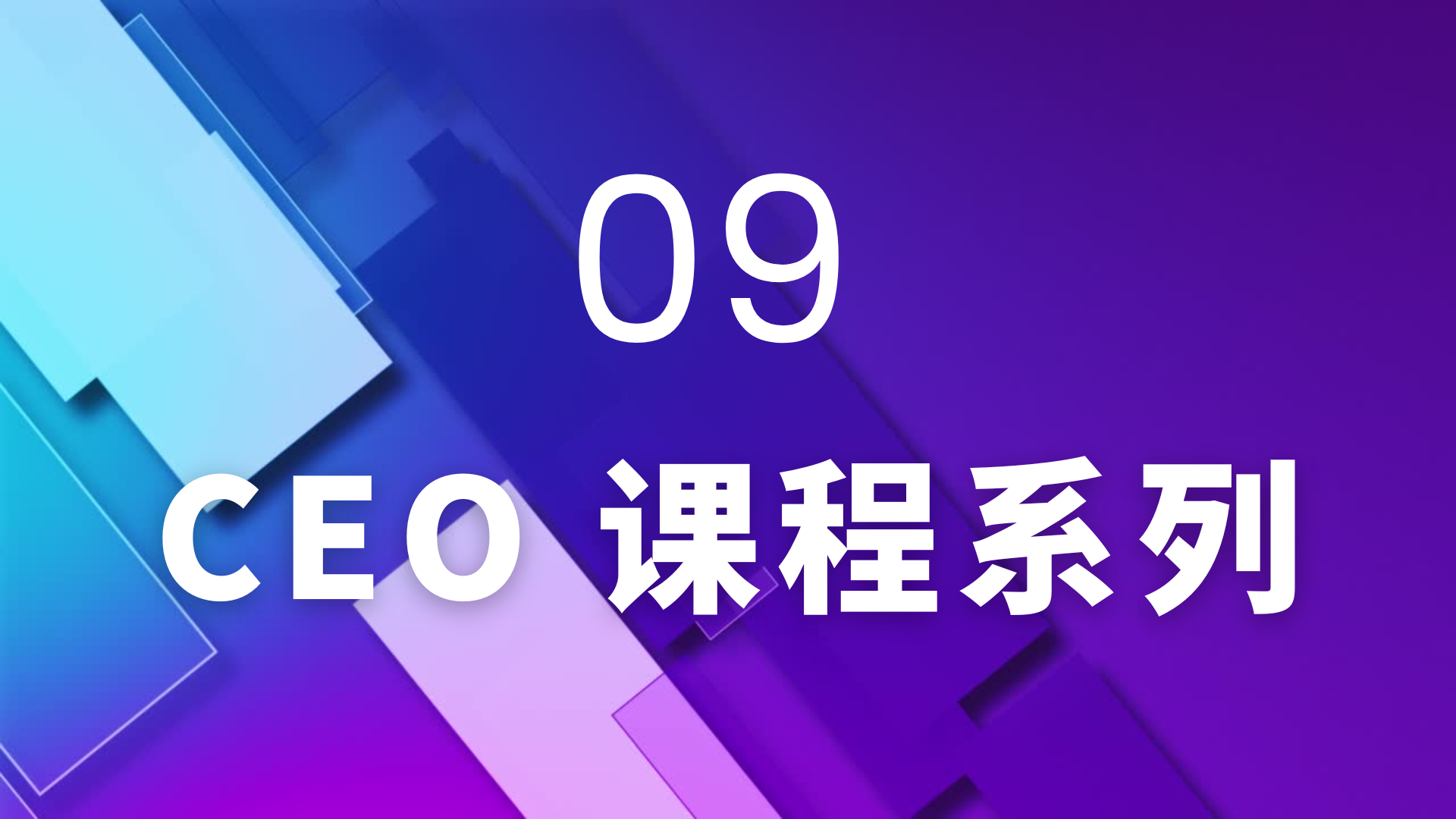 09 CEO课程系列